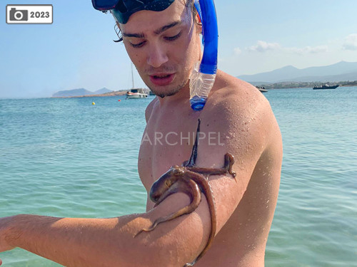 Octopus fishing with the boat's small diving equipment.